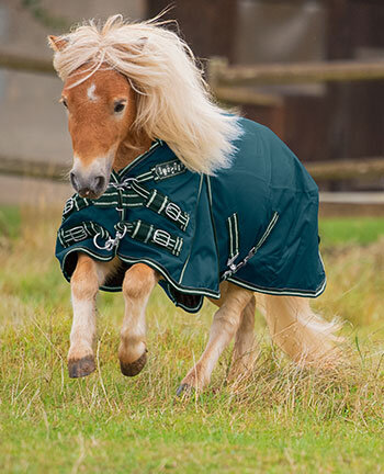 Pony & Foal Rugs