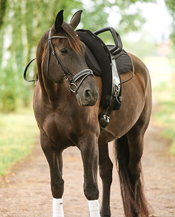 Vaulting Rollers & Accessories