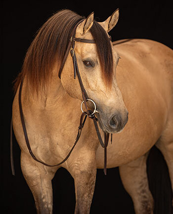 Western Headstalls & Accessories