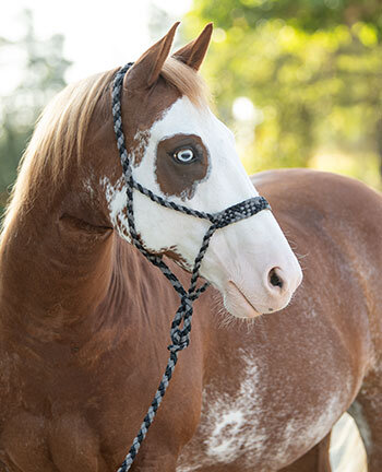 Western Horse Headcollars & Lead Ropes