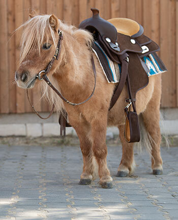 Western Ponies
