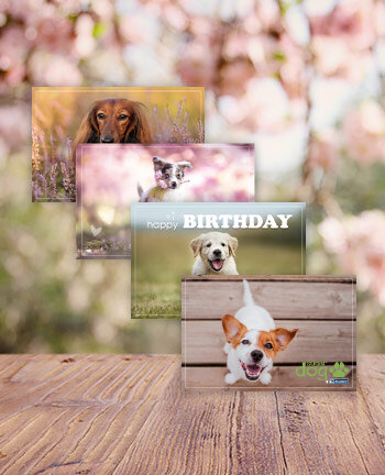 Dog motif vouchers with envelope (sent via post)