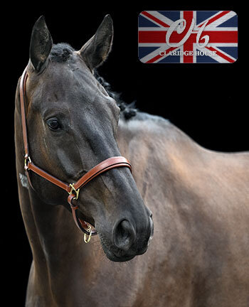 CLARIDGE HOUSE Headcollars