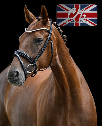 CLARIDGE HOUSE Bridles & Accessories