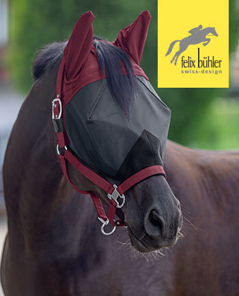 Felix B�hler Fly Control