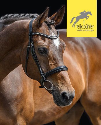 Felix B�hler Bridles