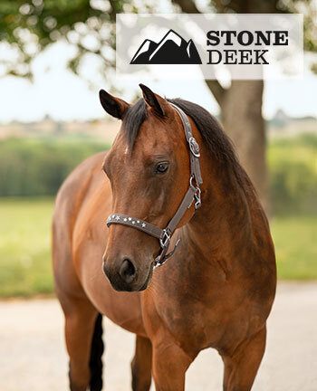STONEDEEK Headcollars