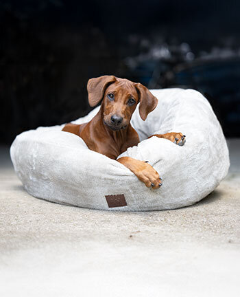 Dog Beds & Cushions