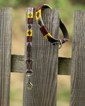 Dog Collars & Leads