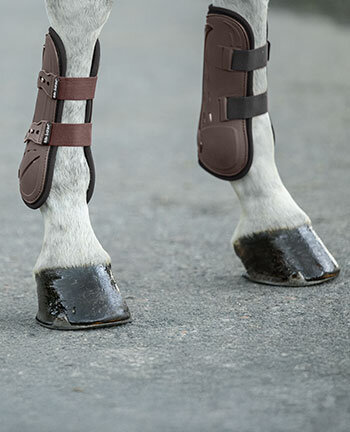 Leg & Hoof Protection