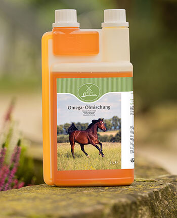 Horse Feed & Supplements