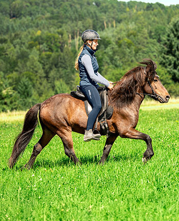 Icelandic Riding