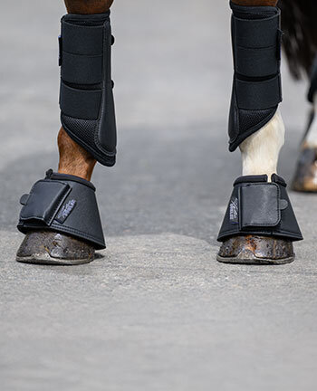 Leg & Hoof Protection