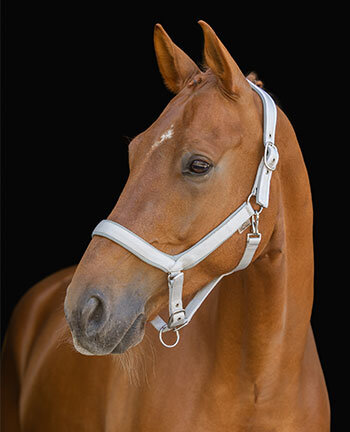 Headcollars & Lead Ropes