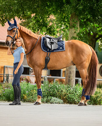 Collections for Horses