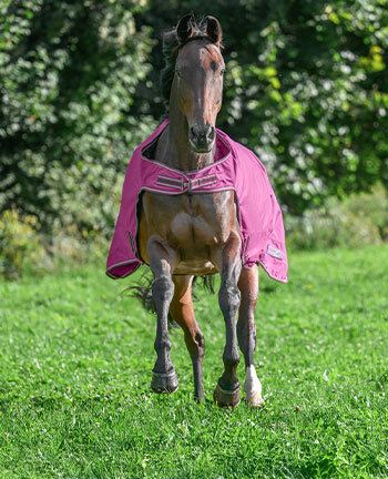 Walker & Outdoor Exercise Rugs