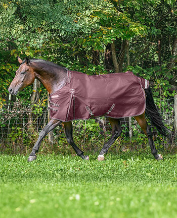 Lightweight Turnout Rugs, 0 g Filling