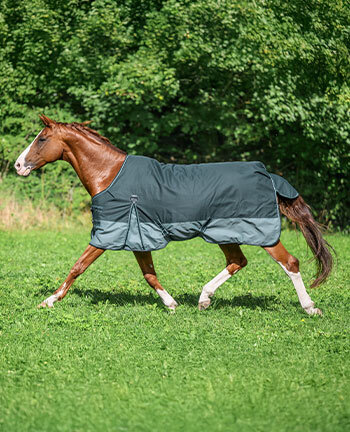Lightweight Turnout Rugs, 50 g Filling