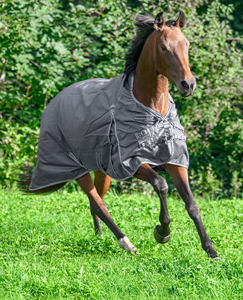 Light- & Heavyweight Turnout Rugs