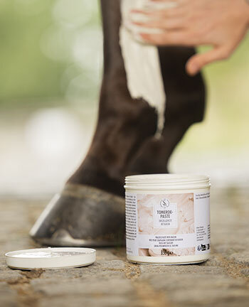 Tendons, Ligaments & Joints