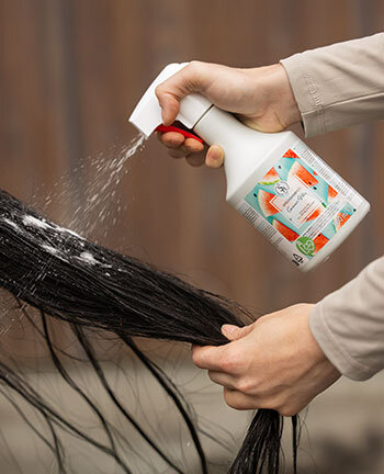 Shampoos & Dry Shampoos