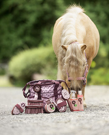 Grooming Equipment for Children