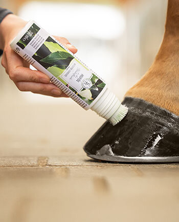 Hoof Care Products