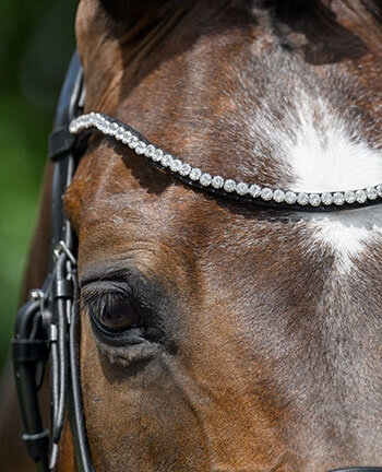 Browbands