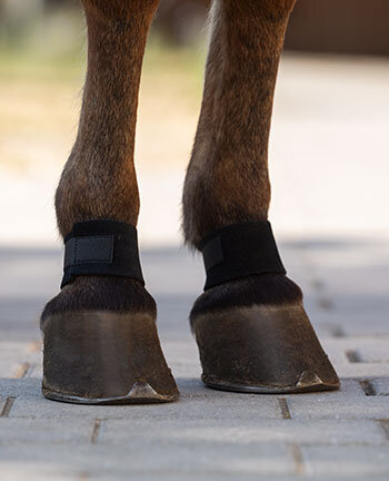 Weight Boots & Pastern Wraps