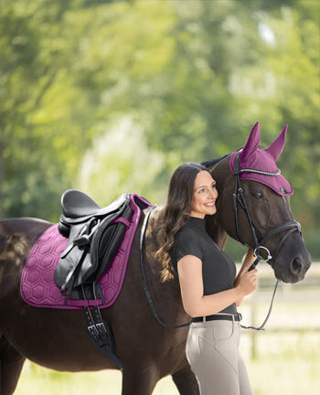 Collections for Ponies