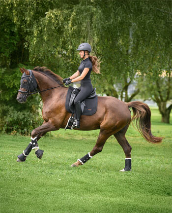 Therapy Items for Horses