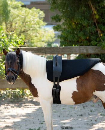 Vaulting Rollers & Accessories