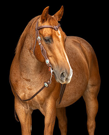 Headstalls with Knotted Browbands