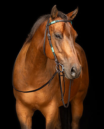 Headstalls with Straight Browbands
