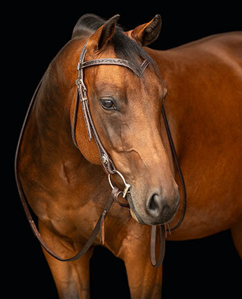 Headstalls with V-shaped Browbands