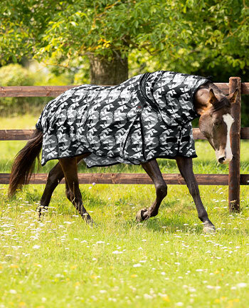Western Horse Rugs & Accessories