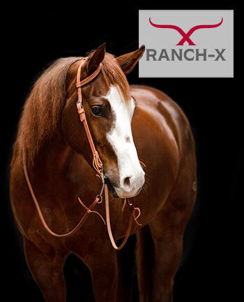 RANCH-X Horse Equipment