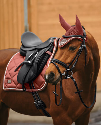 Collections for Horses