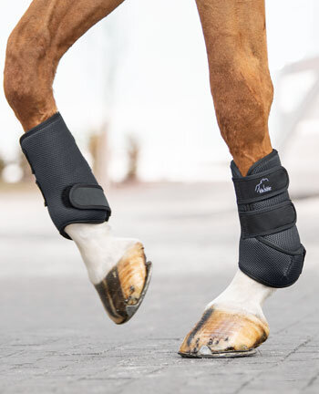 Leg & Hoof Protection