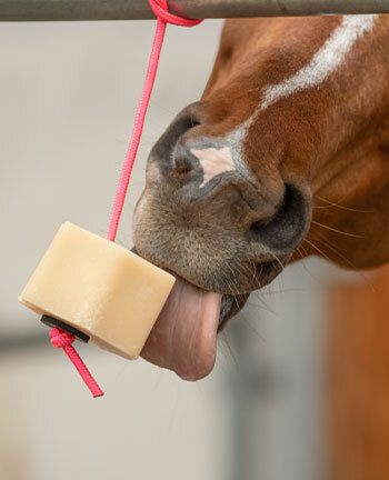 Horse Feed & Supplements