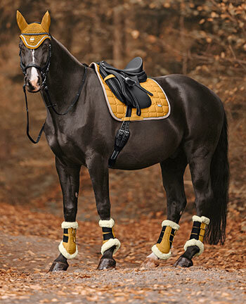 Outfits for horses