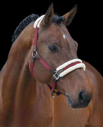 Headcollars & Lead Ropes