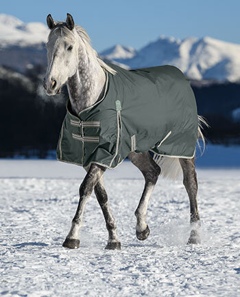 Horse Rugs