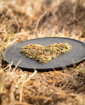 Horse Feed & Supplements