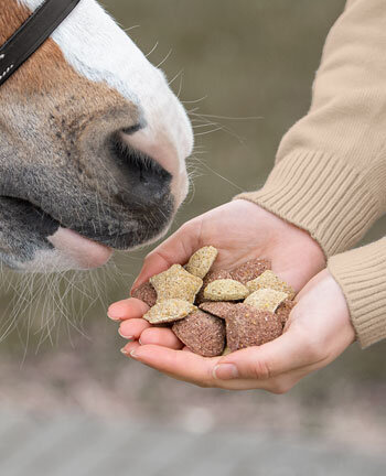 Treats