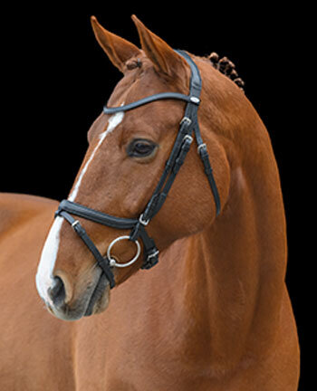Bridles &  Accessories