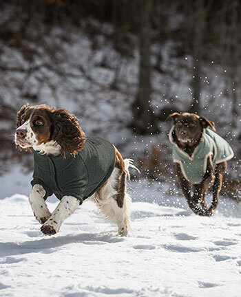 Dog Coats