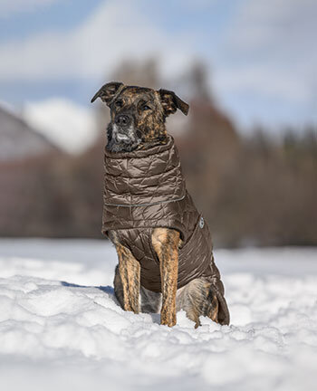 Winter coats with filling, from 50g