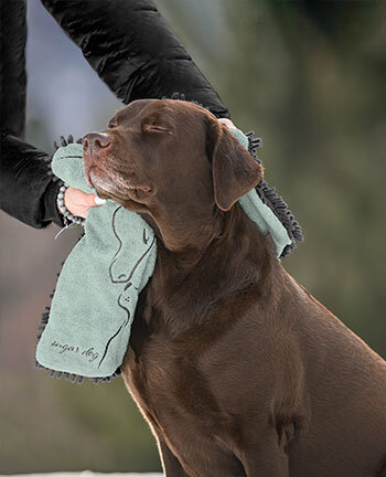 Dog Care