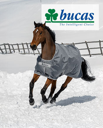 Bucas Rugs